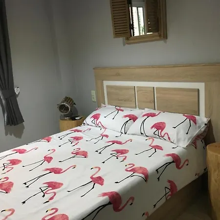 Apartment Dream Torrevieja